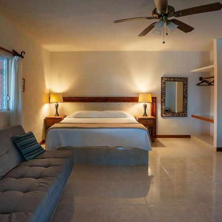 The Diving Lodge Downtown Puerto Morelos Esterno foto