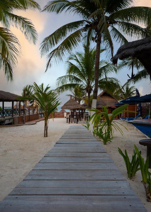 The Diving Lodge Downtown Puerto Morelos Esterno foto