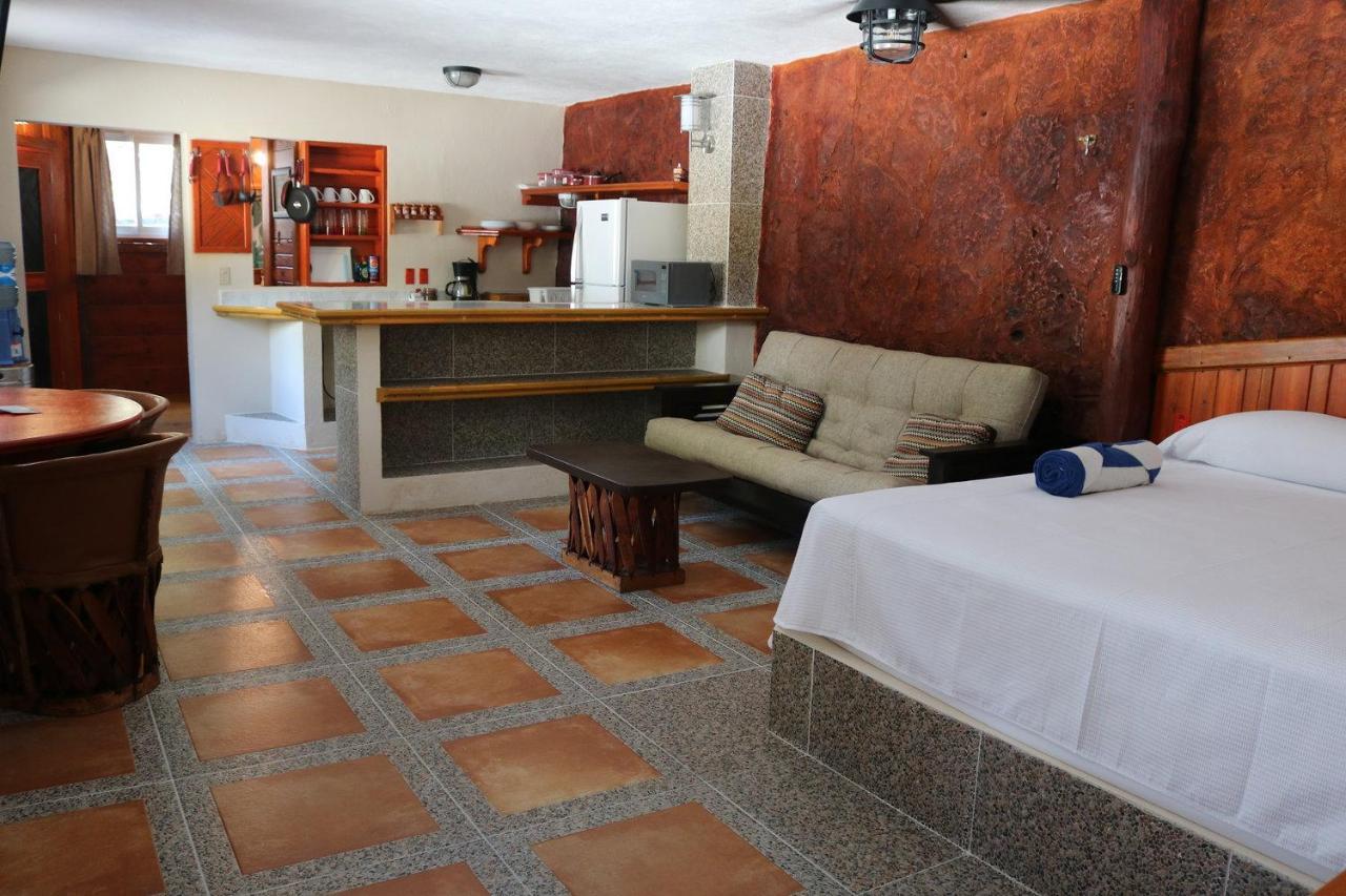The Diving Lodge Downtown Puerto Morelos Esterno foto