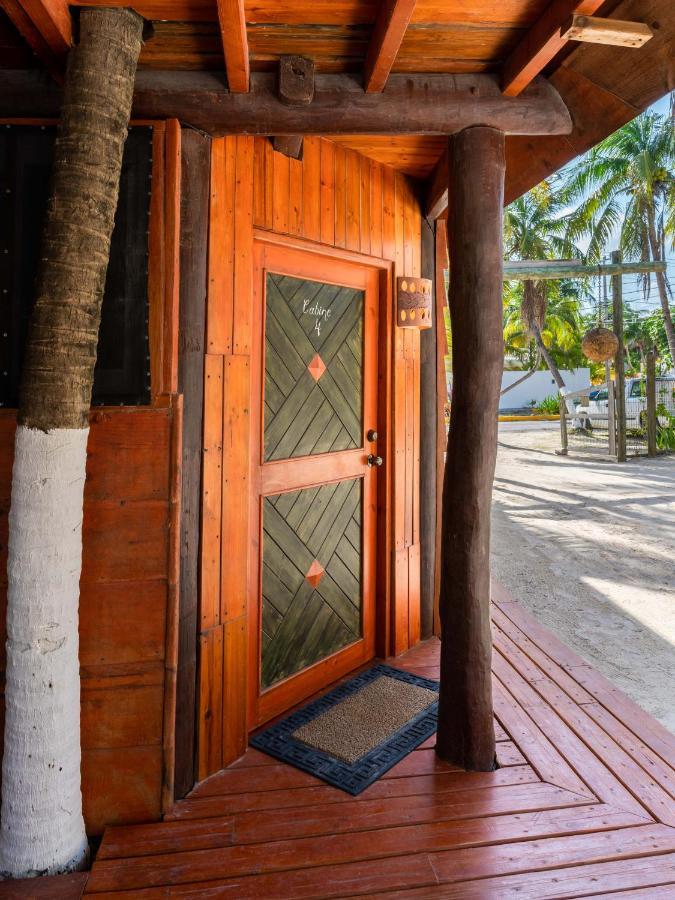 The Diving Lodge Downtown Puerto Morelos Esterno foto