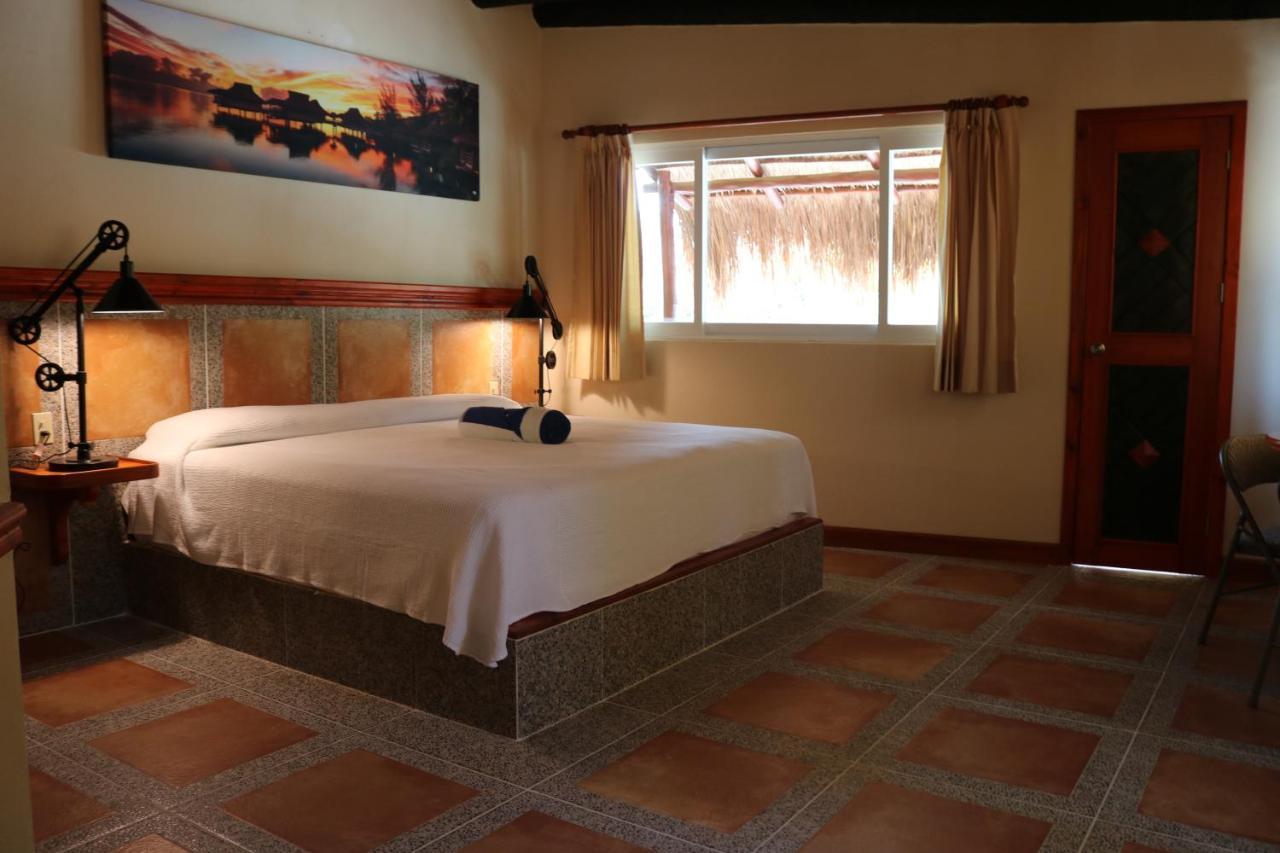 The Diving Lodge Downtown Puerto Morelos Esterno foto