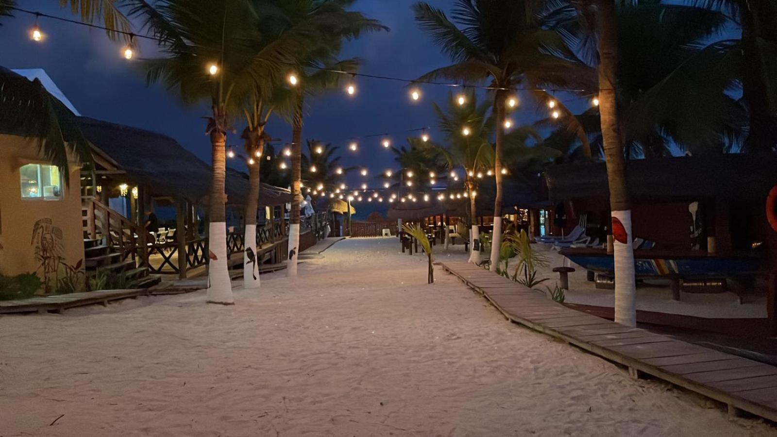 The Diving Lodge Downtown Puerto Morelos Esterno foto
